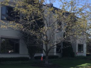 Chicago Nursing Home Neglect Lawyer