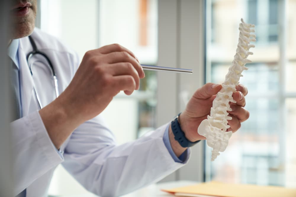 Healthcare worker demonstrating human spine anatomy with model and pointer