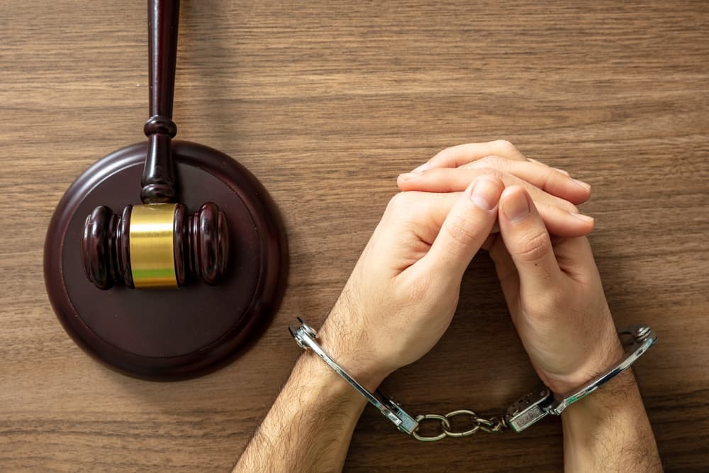 Criminal Charges and Penalties